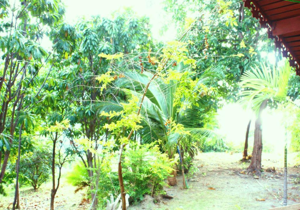 Utopia House Phangan Mae Haad Exterior photo